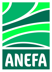 ANEFA